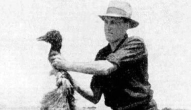 A man holding an emu killed by Australian soldiers