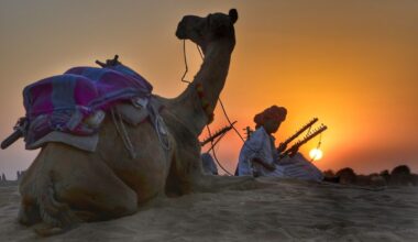 Rajasthan, Rajasthan Facts, Rajasthan lesser-known facts, Rajasthan hidden insights, cultural heritage