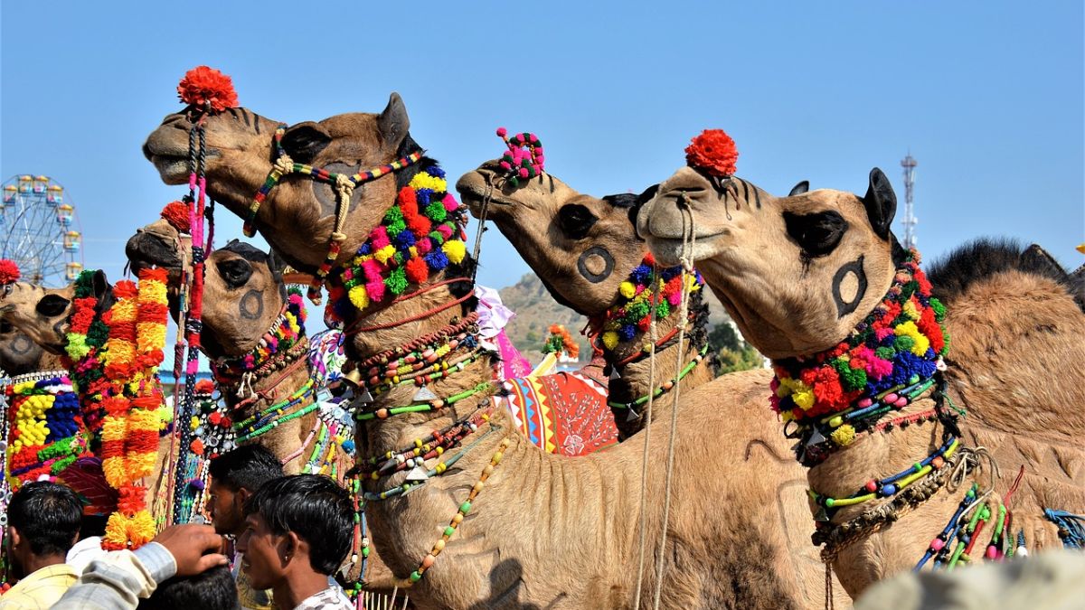 Rajasthan, Rajasthan Facts, Rajasthan lesser-known facts, Rajasthan hidden insights