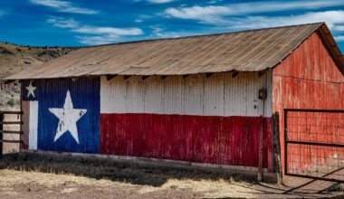 Texas facts, interesting Texas trivia, Texas history, Lone Star State, Texan culture, famous landmarks in Texas