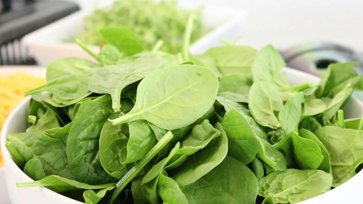 Spinach Facts