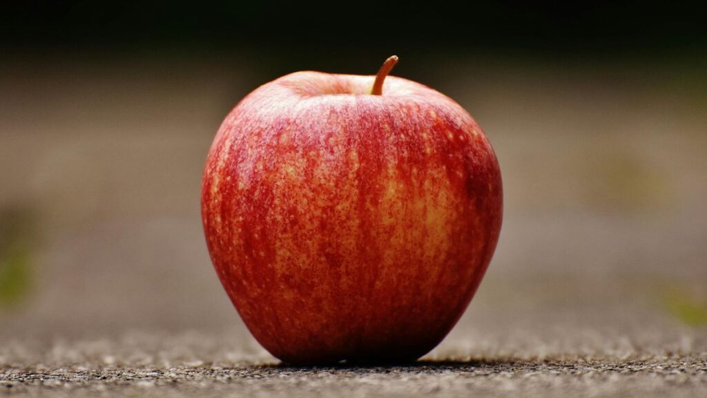 From Orchard to Empire: Top 10 Apple Producing Countries - Added Facts